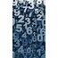 Numeroloji Semineri