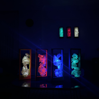 GECE ÇİÇEĞİ TABLO 