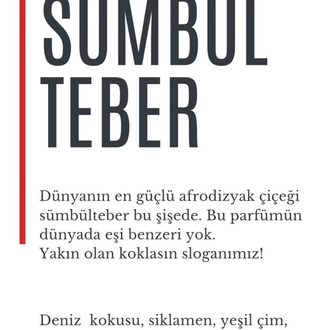 4X4 ERKEK PARFÜM / 10 ml spreyli cam şişe