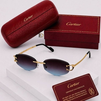 Cariter sunglasses
