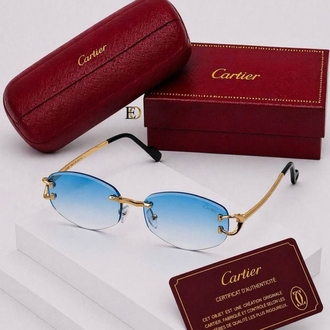 Cariter sunglasses