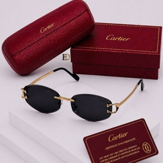 Cariter sunglasses