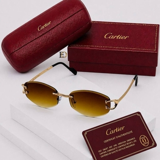 Cariter sunglasses