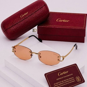 Cariter sunglasses