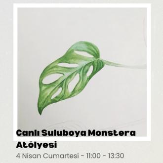 Canlı Suluboya Monstera Atölyesi (Online) – Bilimsel Bitki Ressamlığına Giriş
