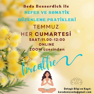 ONLINE AYLIK GRUP NEFES & SOMATİK DÜZENLEME DERSLERİ 