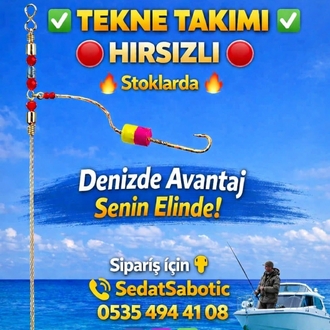 TEKNE TAKIMI HIRSIZLI
