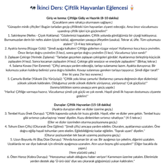 3+ Yaş Tematik Çocuk Yogası Ders Planı Seti (4 Haftalık Kesintisiz Akış)