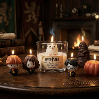 Harry Potter-Hogwarts Set 