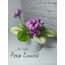  FİDE/reka enisej/TRAİL 