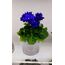 FİDE /ROCOCO BLUE/STANDART