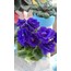 FİDE /ROCOCO BLUE/STANDART