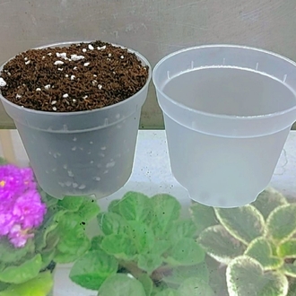 8 CMLİK ŞEFFAF SAKSI /250 ML