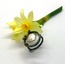Kuşlu Yüzük / Bird Ring