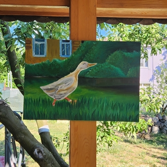 gezen ördek