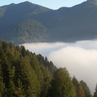 RİZE-İKİZDERE YEDİÇUKUR BALI 