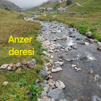 RİZE-İKİZDERE ANZER YAYLASI ÇİÇEK BALI 