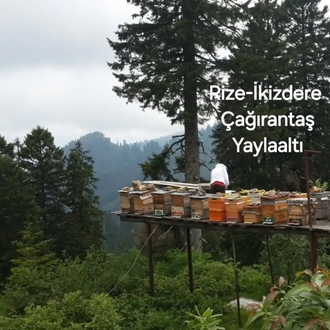 YENİ SEZON RiZE İKİZDERE ÇAĞRANTAŞ YAYLA  BALI net:850g
