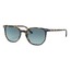 Ray-Ban 2197