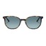 Ray-Ban 2197