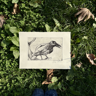 Crow