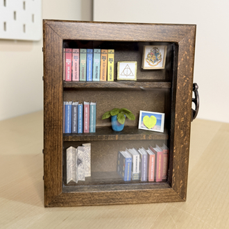 Mini Harry Potter Kitaplığı