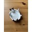 Kedi takı tabağı