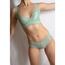 Catmint Set