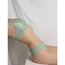 Catmint Set