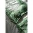 Catmint Set
