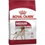 Royal Canin Medium Adult Orta Irk Yetişkin Köpek Maması 15 Kg