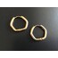 Çelik Gold Beşgen Küpe