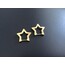 Çelik Gold Yıldız Küpe