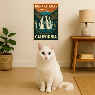 California