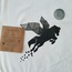 PEGASUS