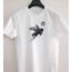 PEGASUS