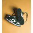 DUNK LOW 'SPARTAN GREEN'