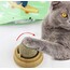 Kedi Otu Oyun Topu