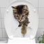 Decohandy Klozet Etiketi Stray Cat