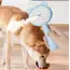 Kedi ve Köpekler İçin Buharlı Masaj Tarağı