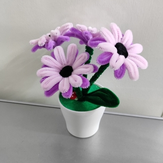 Pink Flowers