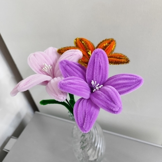Karışık Lilyum
