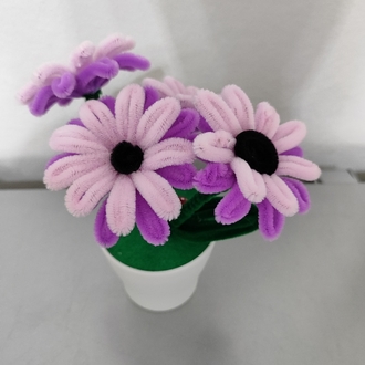 Pink Flowers