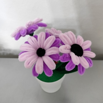 Pink Flowers