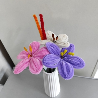 Karışık Lilyum