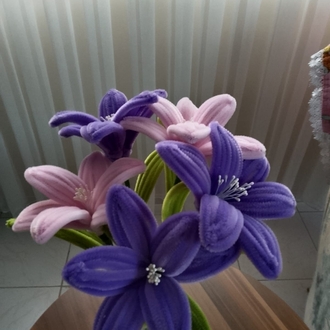 2 renk lilyum 