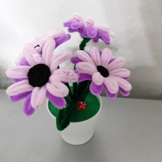 Pink Flowers
