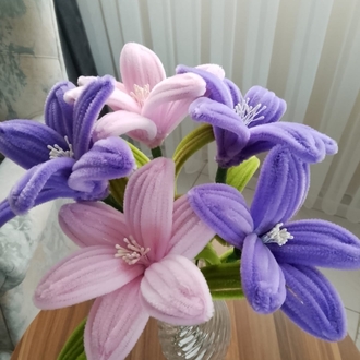 2 renk lilyum 
