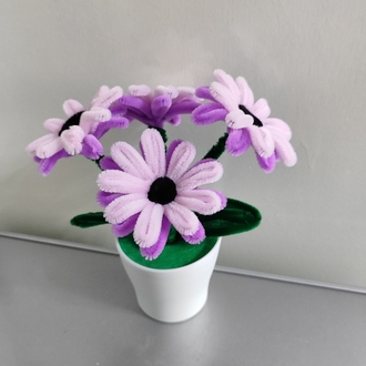 Pink Flowers