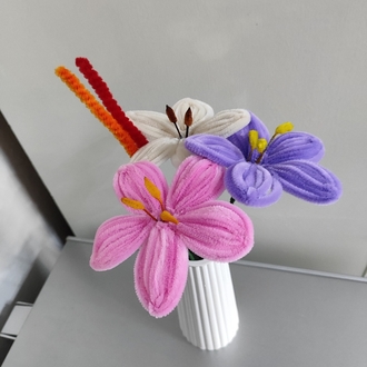 Karışık Lilyum